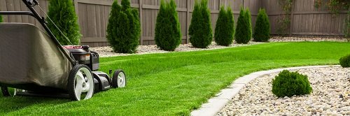 Lawn-Care-Conway-SC.jpg