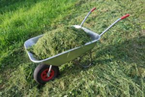 lawn care grass clippings