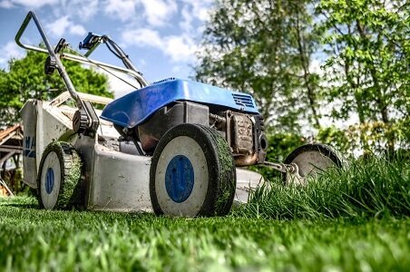 Frequently Asked Questions About Grass Clippings After Lawn Care