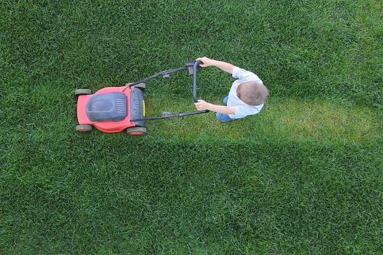 What should you look for in a lawn care company?