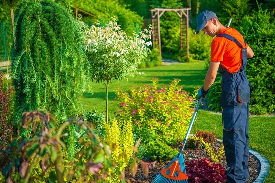 Landscaping For Healthy Lawns