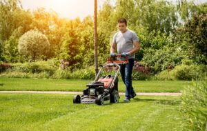 When to Mow Wet Grass and When to Wait