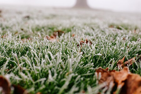 Winter Lawn Care: Caring For Dormant Grass