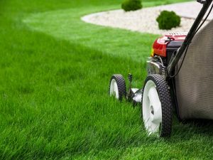 Lawn Care Tips For Every Season