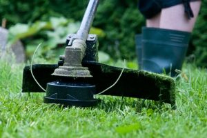 Lawn Care Tips To Have The Best Looking Yard On The Block