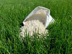 Lawn Care Tips: All About Fertilizer