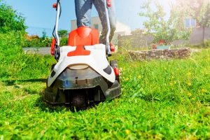 Lawn Care Tips To Get The Perfect One On The Block This Season