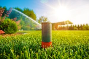 How Does Cold, Rain, Heat Affect Lawn Care Results