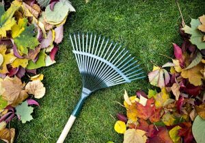 Basic Fall Lawn Care Projects