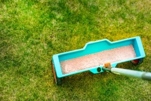 Lawn Care Tips: The Art of Fertilization