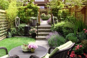 Creating a Beautiful Summer Lawn in Small Spaces