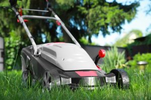 Simple and Effective Lawn Care Tips