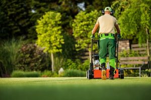 lawn care in Conway SC