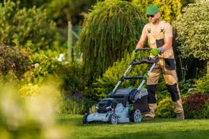 lawn care in Conway SC