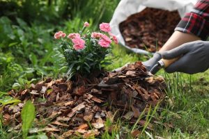 Mulching in Conway SC