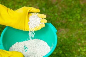 Essential Tips for Fertilizing Your New Lawn