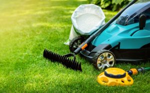 Lawn care in Conway SC