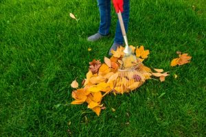 Essential Lawn Maintenance Tasks for Fall Clean-Up