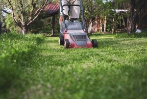 Easy and Affordable Lawn Maintenance Tips