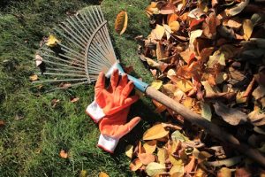 How Warmer-Than-Usual Fall Temperatures Affect Lawn Care