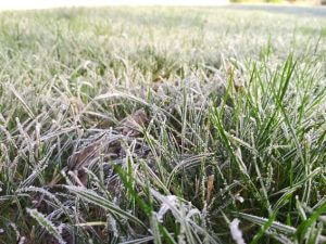 Winter Lawn Care: Keeping Your Grass Healthy Through the Cold Season