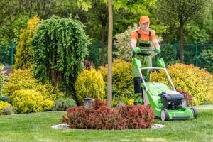 Lawn care in Carolina Forest