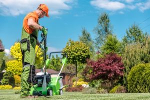 Lawn care in Conway SC