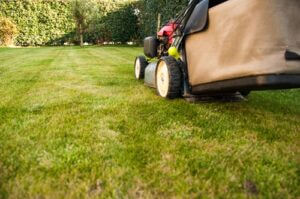 Essential Spring Lawn Care Tips for a Healthy, Lush Yard