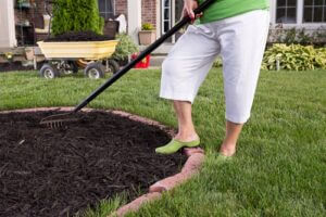 Mulching: The Key to a Healthy, Thriving Garden