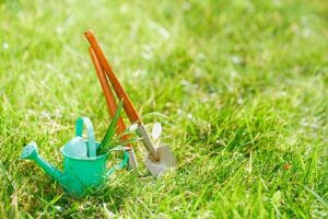 Lawn Care in Myrtle Beach: Effective Weed Control Strategies