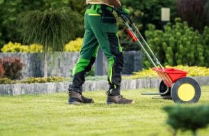 Lawn Care Tips for a Greener, Healthier Yard