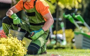 Lawn care in Conway SC