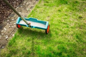 Summer Fertilizing Tips: How to Feed Your Lawn Without Doing Harm