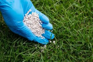 Fertilizing Services: Tips for Applying New Lawn Fertilizer