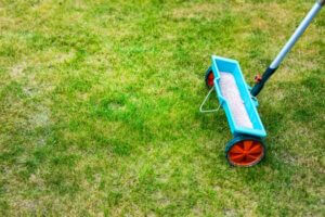 Fertilizing Services That Keep Your Lawn Strong All Summer