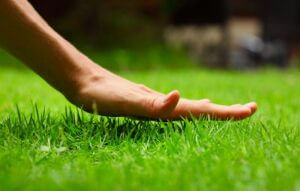 Lawn Care Tips That Keep Your Grass Green All Summer Long