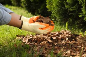 Mulching Services: Choosing Between Pine Straw and Mulch for a Healthier, Beautiful Yard