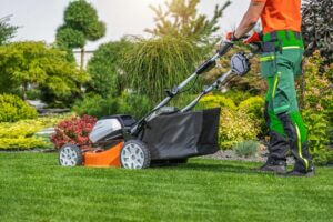 Essential Lawn Care Tips For The Rainy Season In Myrtle Beach