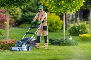 Lawn Care Tips To Prepare Your Yard For Fall