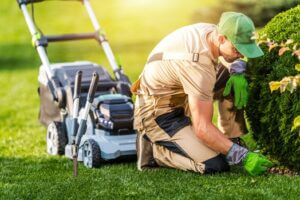 Smart Lawn Care Basics For A Healthier, Greener Yard