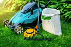 Need an Easy Fix for a Common Lawn Problems?