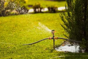 Lawn Maintenance Tips to Keep Your Grass Green All Summer