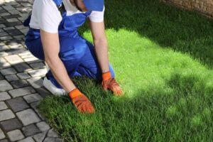 Transform Your Lawn with Professional Sod Installation